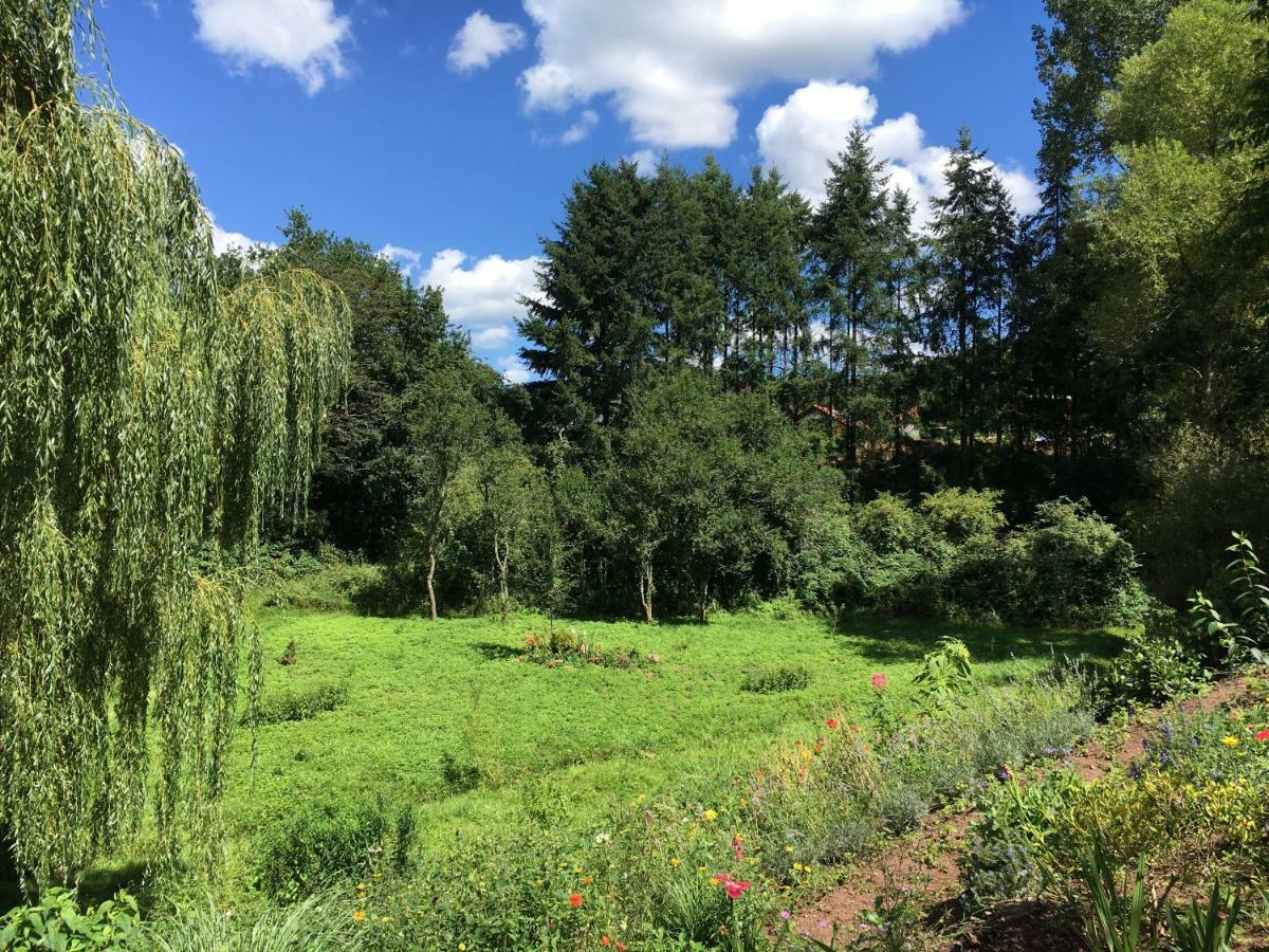 Haagalm Terrasse, Garten Nonnweiler Exteriör bild