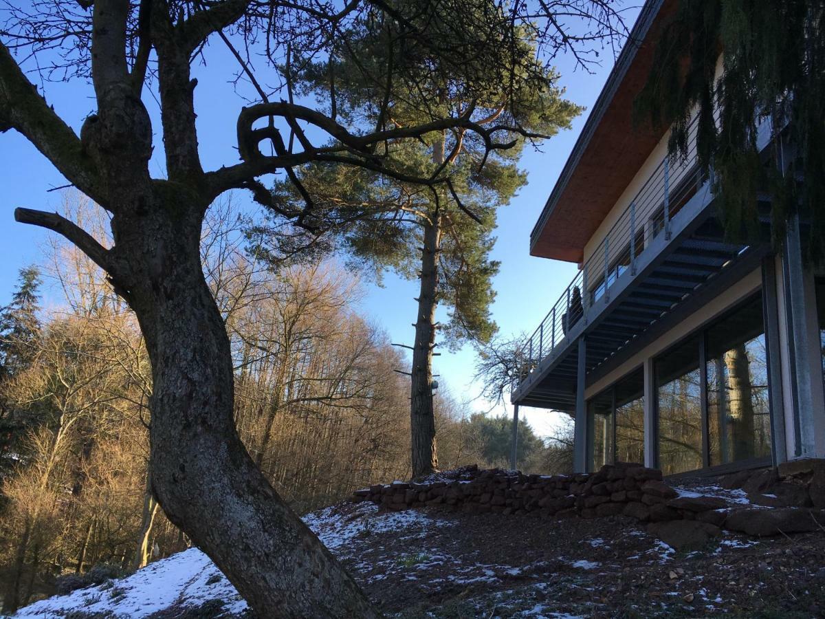 Haagalm Terrasse, Garten Nonnweiler Exteriör bild