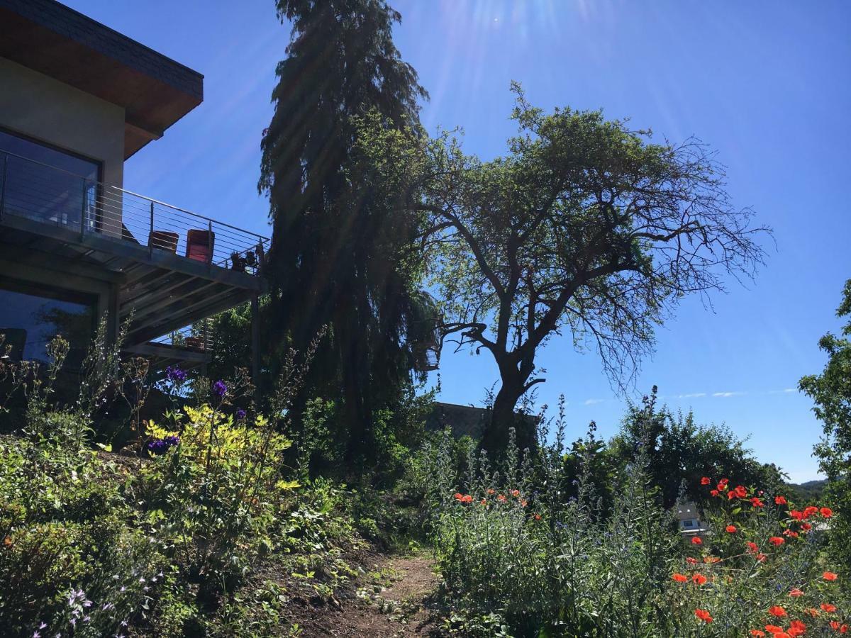 Haagalm Terrasse, Garten Nonnweiler Exteriör bild
