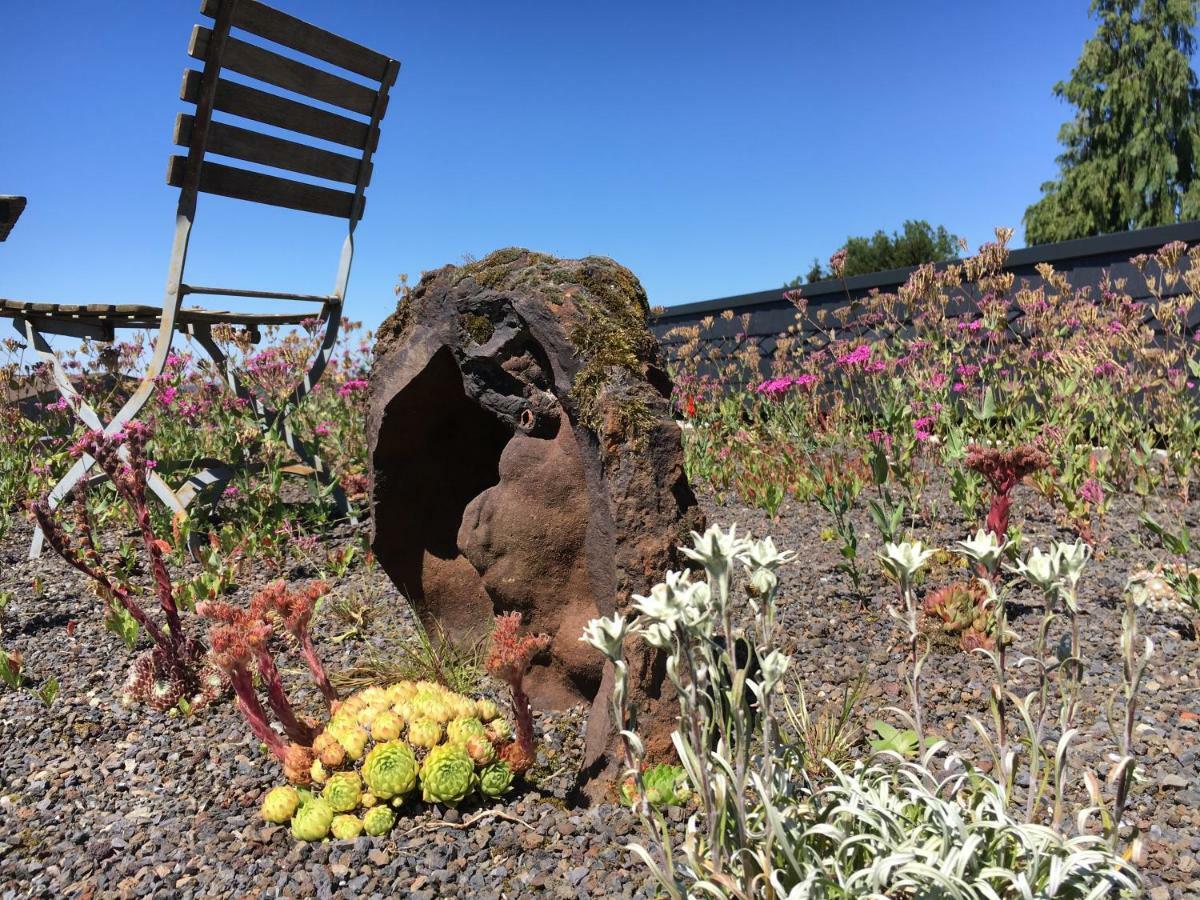 Haagalm Terrasse, Garten Nonnweiler Exteriör bild