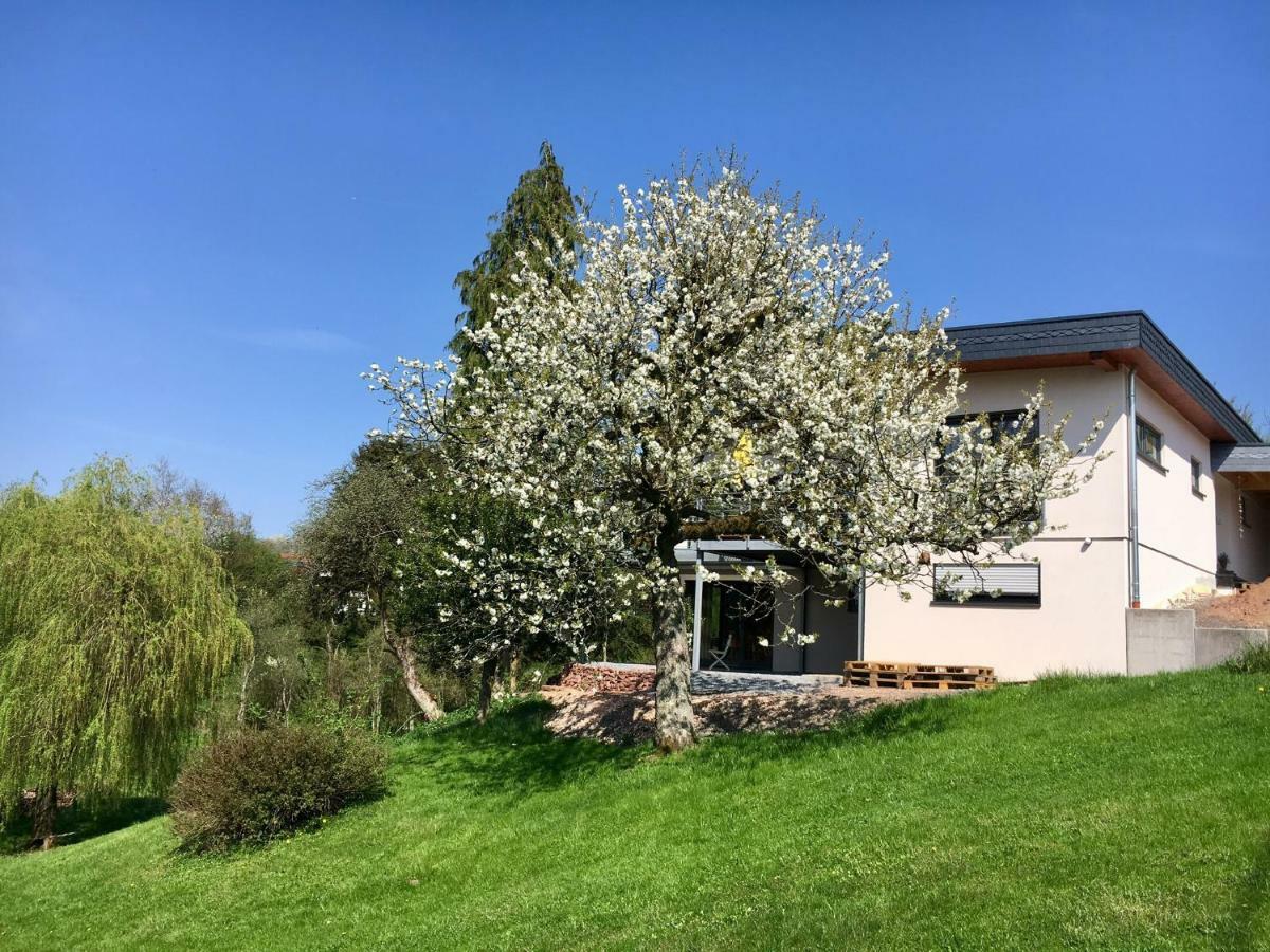 Haagalm Terrasse, Garten Nonnweiler Exteriör bild