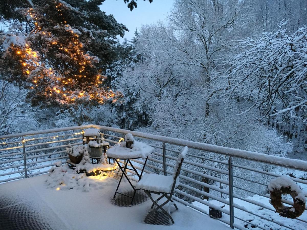 Haagalm Terrasse, Garten Nonnweiler Rum bild